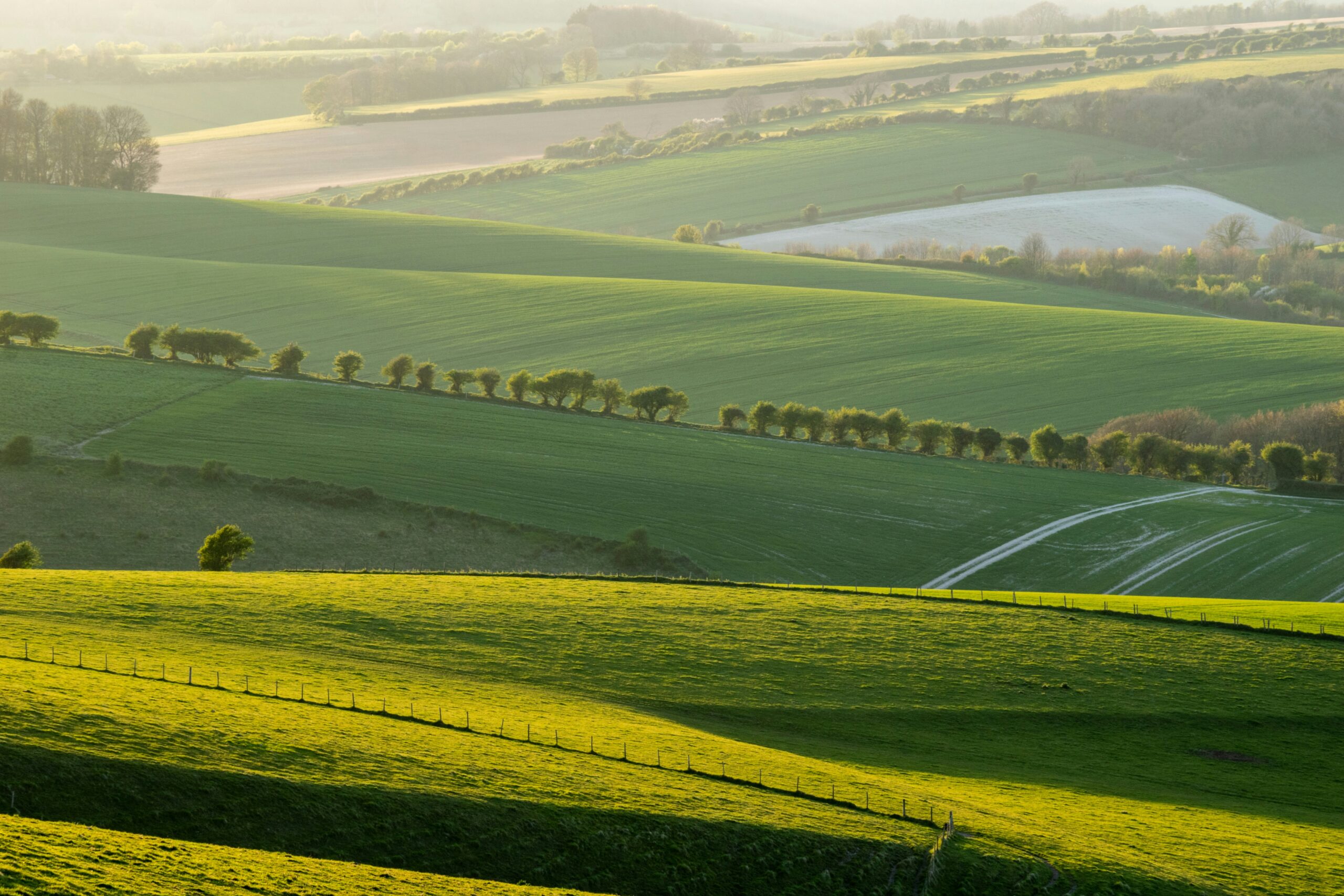 South Downs National Park